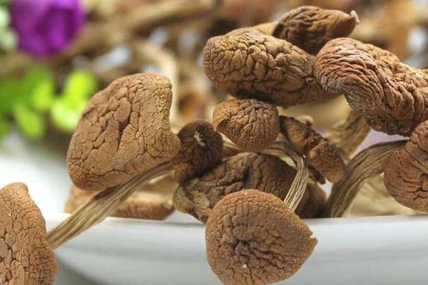 茶树菇和什么相克 茶树菇和什么吃功效好