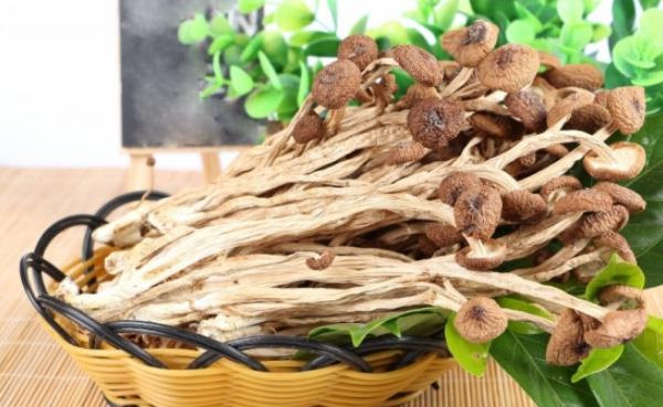 干茶树菇市场价格多少钱一斤 干茶树菇怎么做