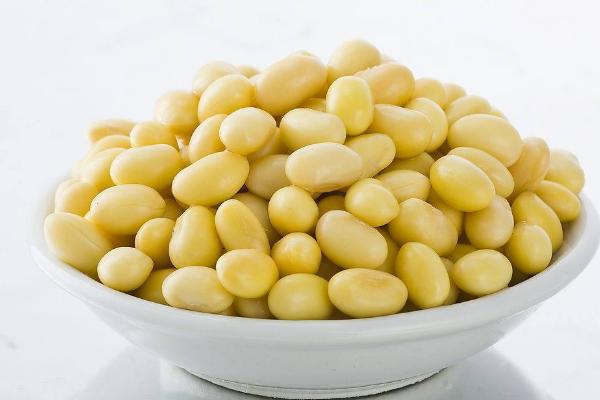大豆价格多少钱一斤？