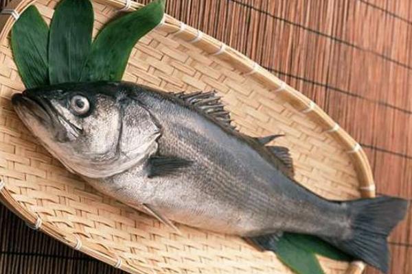 加州鲈鱼市场价格多少钱一斤 加州鲈鱼是海鲈鱼吗