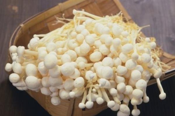 金针菇功效与作用及禁忌 金针菇营养价值
