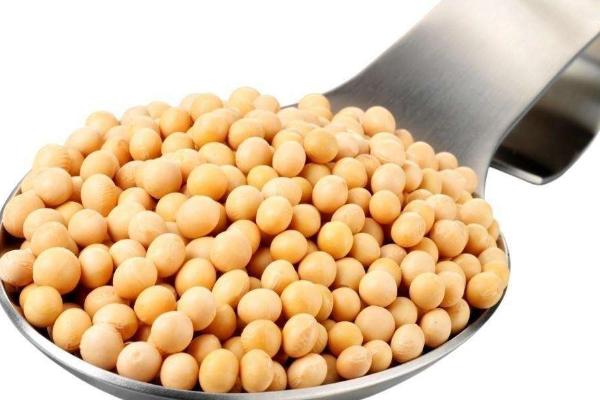 大豆价格多少钱一斤？
