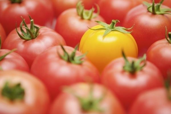 番茄功效与作用及禁忌 番茄营养价值