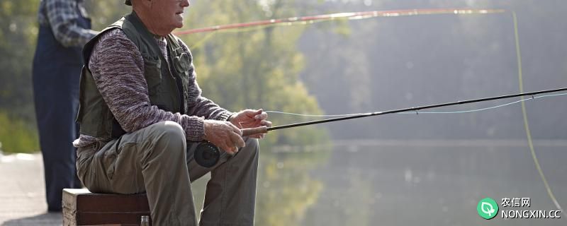 一般钓鱼要多久才能上钩，长时间不上钩怎么办
