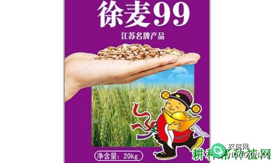 徐麦99半冬性小麦品种好不好