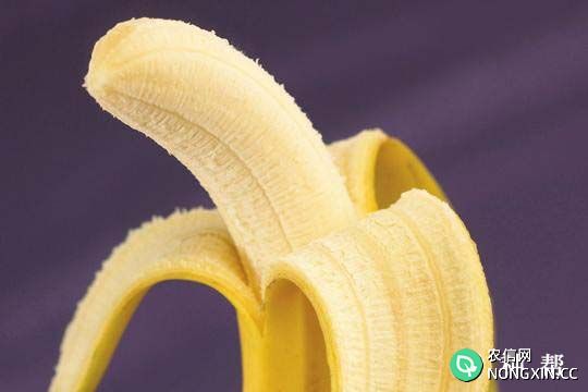 香蕉皮可以吃吗