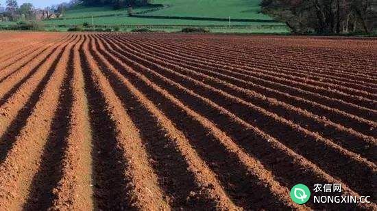 防止土壤恶化应正确施用有机肥
