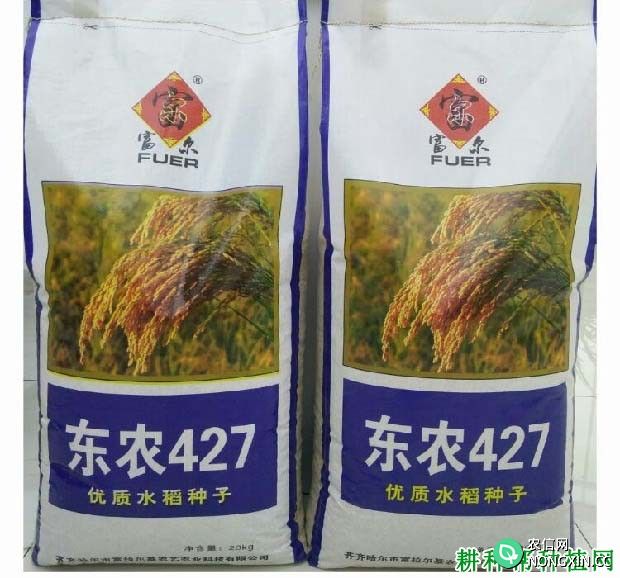 东农427水稻品种好不好