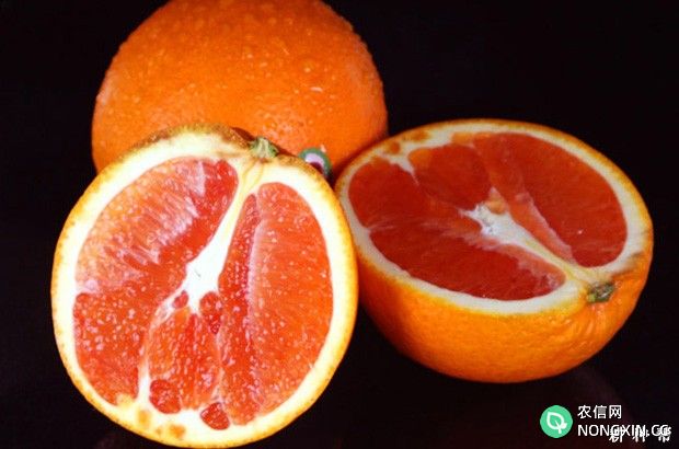 橙子不能跟什么一起吃