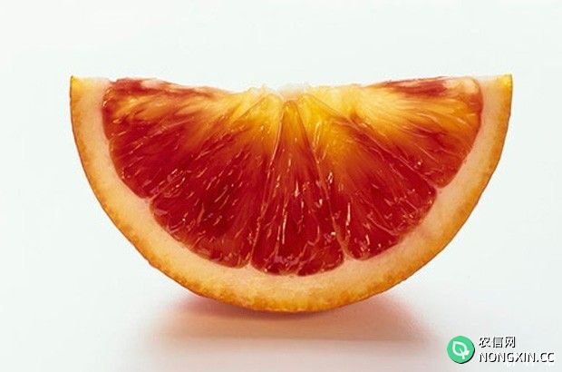 橙子不能跟什么一起吃