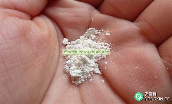 珍珠粉的功效与作用 珍珠粉的药用功效