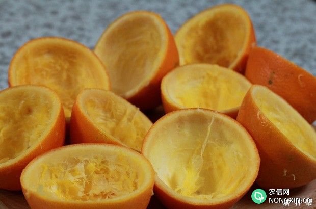 橙子皮有哪些功效与作用