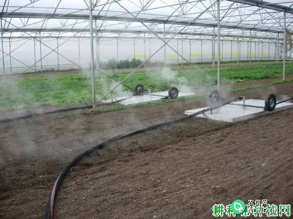 大棚土壤怎样消毒用什么农药效果好