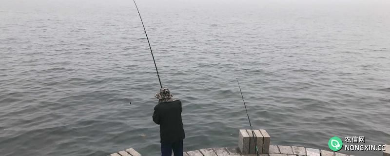 秋冬季节什么天气适合钓鱼，怎么钓鱼