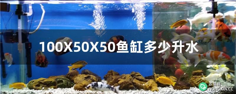 100X50X50鱼缸装多少升水