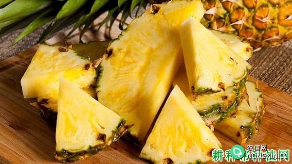 吃菠萝能减肥吗