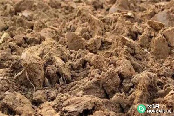 酸性土壤有哪些危害