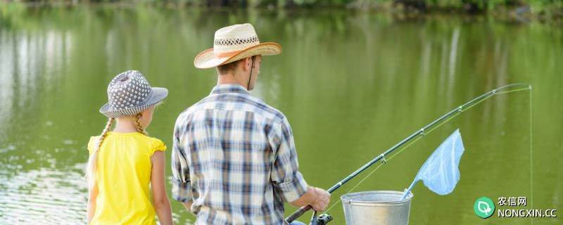 红虫能用来钓鱼吗，怎么用来钓鱼