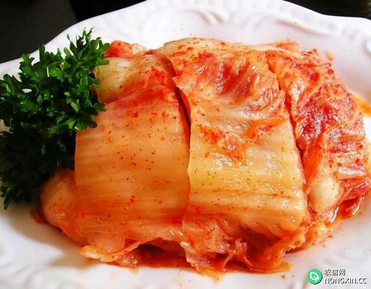 正宗朝鲜辣白菜的腌制方法教程