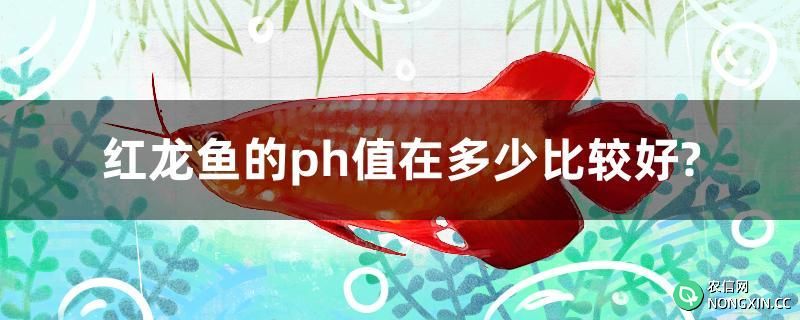 红龙鱼的ph值在多少比较好?