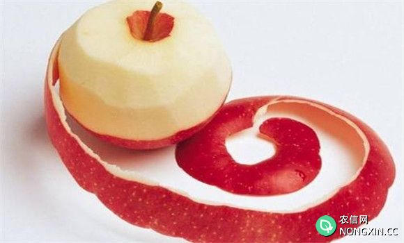 苹果皮该不该吃