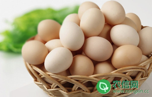 土鸡蛋的营养价值，土鸡蛋的适合人群