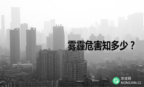 雾霾对人体的危害有哪些