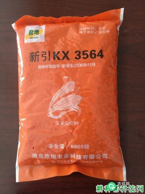新引KX3564玉米品种好不好