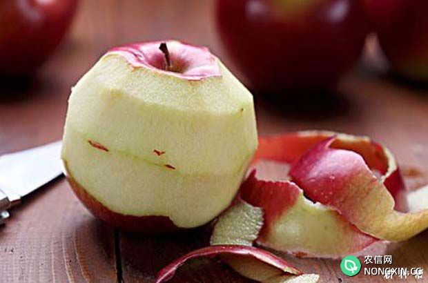 吃苹果要注意哪些问题