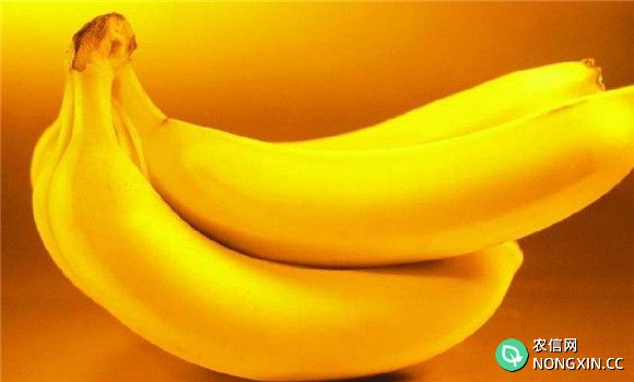 香蕉保鲜方法