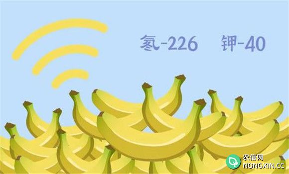 香蕉辐射法保鲜方法