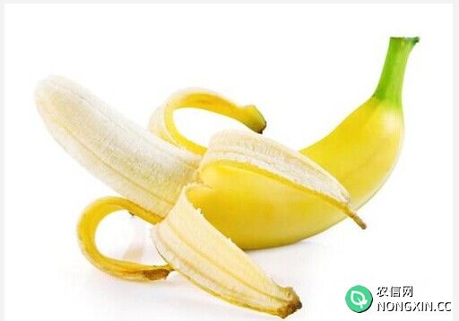 香蕉皮的作用