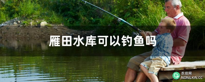 雁田水库可以钓鱼吗