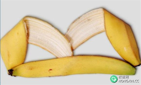 香蕉皮的营养价值