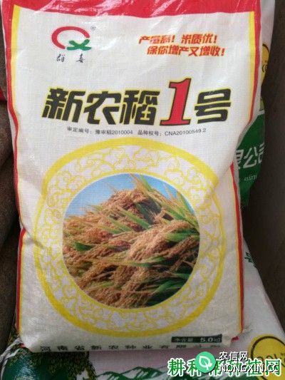 新农稻1号水稻品种好不好