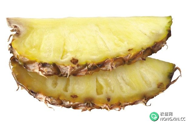 吃菠萝的功效与作用是什么