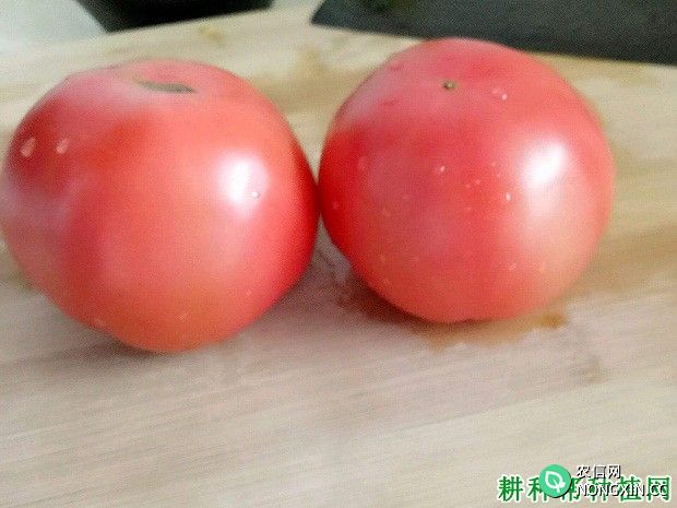 番茄快速剥皮方法