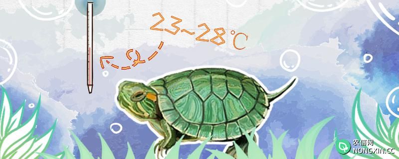 巴西龟饲养温度，巴西龟饲养水质