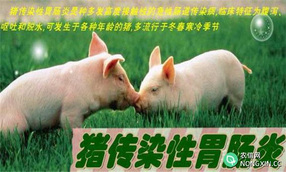 猪传染性胃肠炎