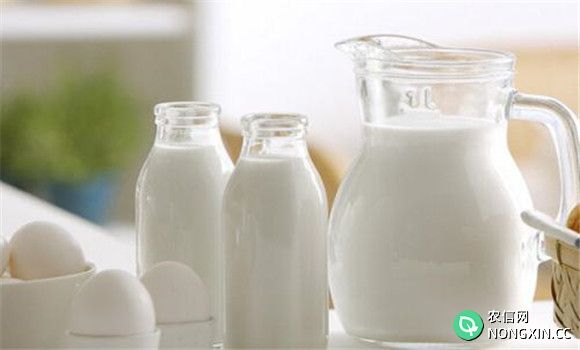 牛奶的性味功效