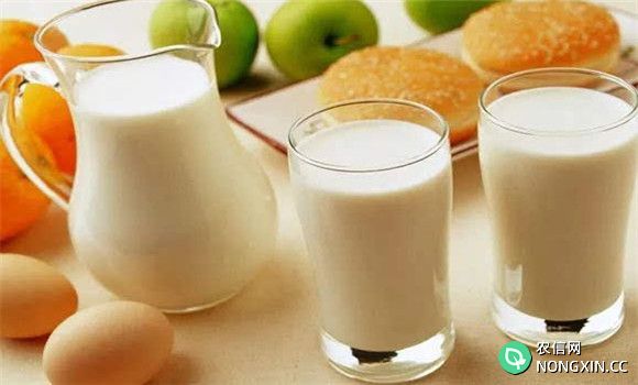 牛奶的食用方法