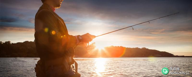 秋季钓鱼气压多少适合钓鱼，什么饵料适合钓鱼