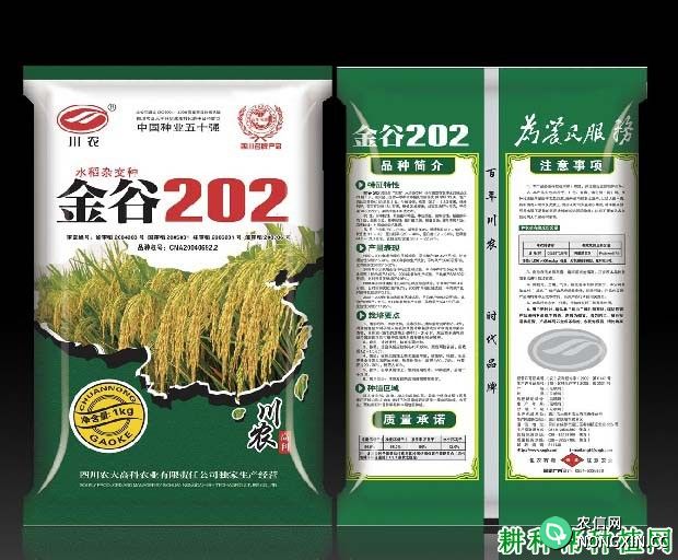 金谷202水稻品种好不好