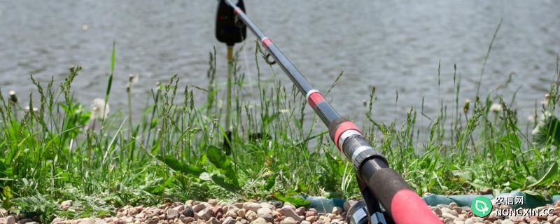 7.2米鱼竿实用还是6.3米实用，7.2米鱼竿适合钓什么地方