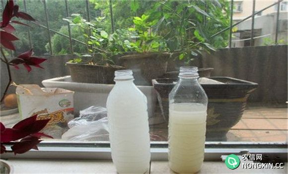 淘米水发酵属于什么肥料