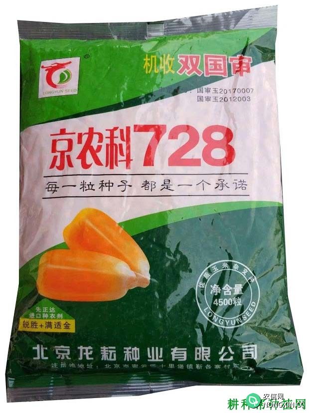 京农科728玉米品种好不好