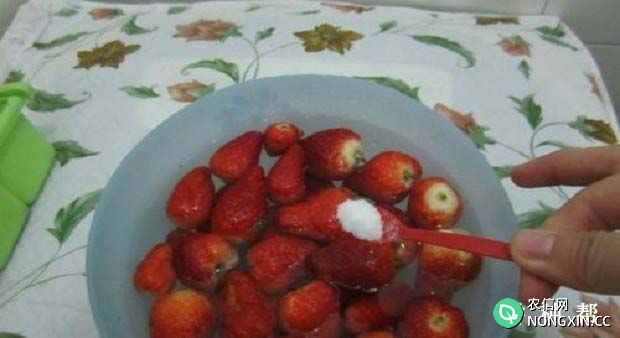 草莓怎么洗好