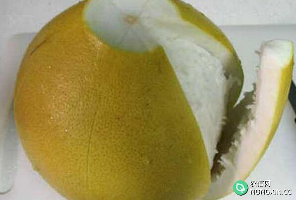 柚子皮的功效与作用 柚子皮的用途