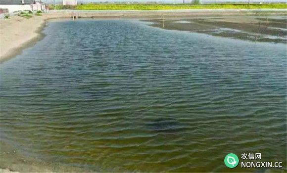 养殖河蟹对水质的要求
