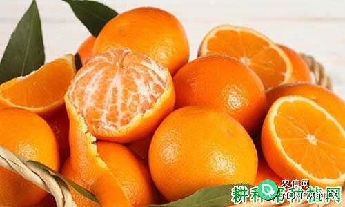 打蜡的柑橘对人有害吗